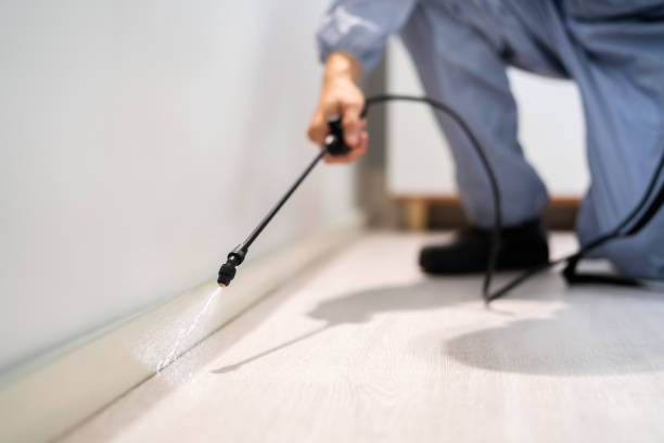 Licensed Termite Control service in Fulton, MD - Nex Pest Control