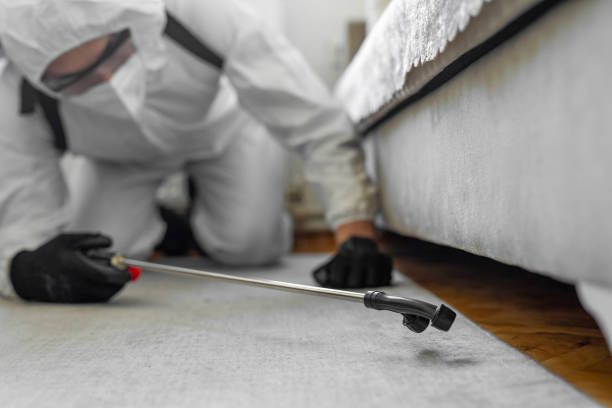 Professional Termite Control technician working in Fulton, MD