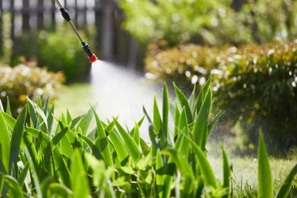 24/7 Emergency Termite Control experts in Fulton, MD