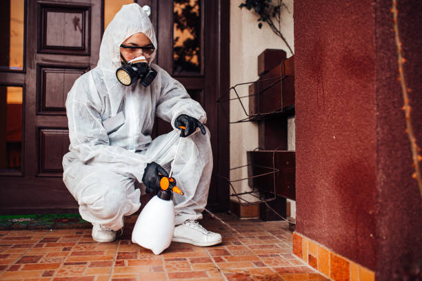 Reliable Termite Control contractor in Fulton, MD by Nex Pest Control