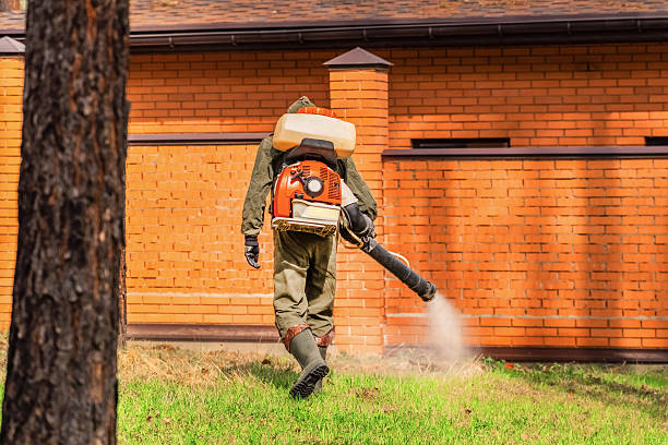 Top rated local Termite Control specialists in Fulton, MD